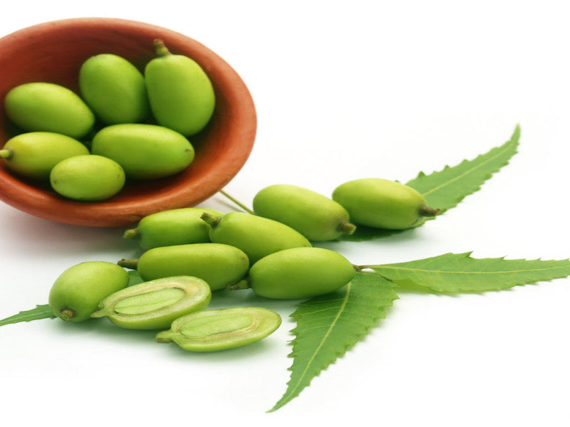 The superpowers of Neem Oil